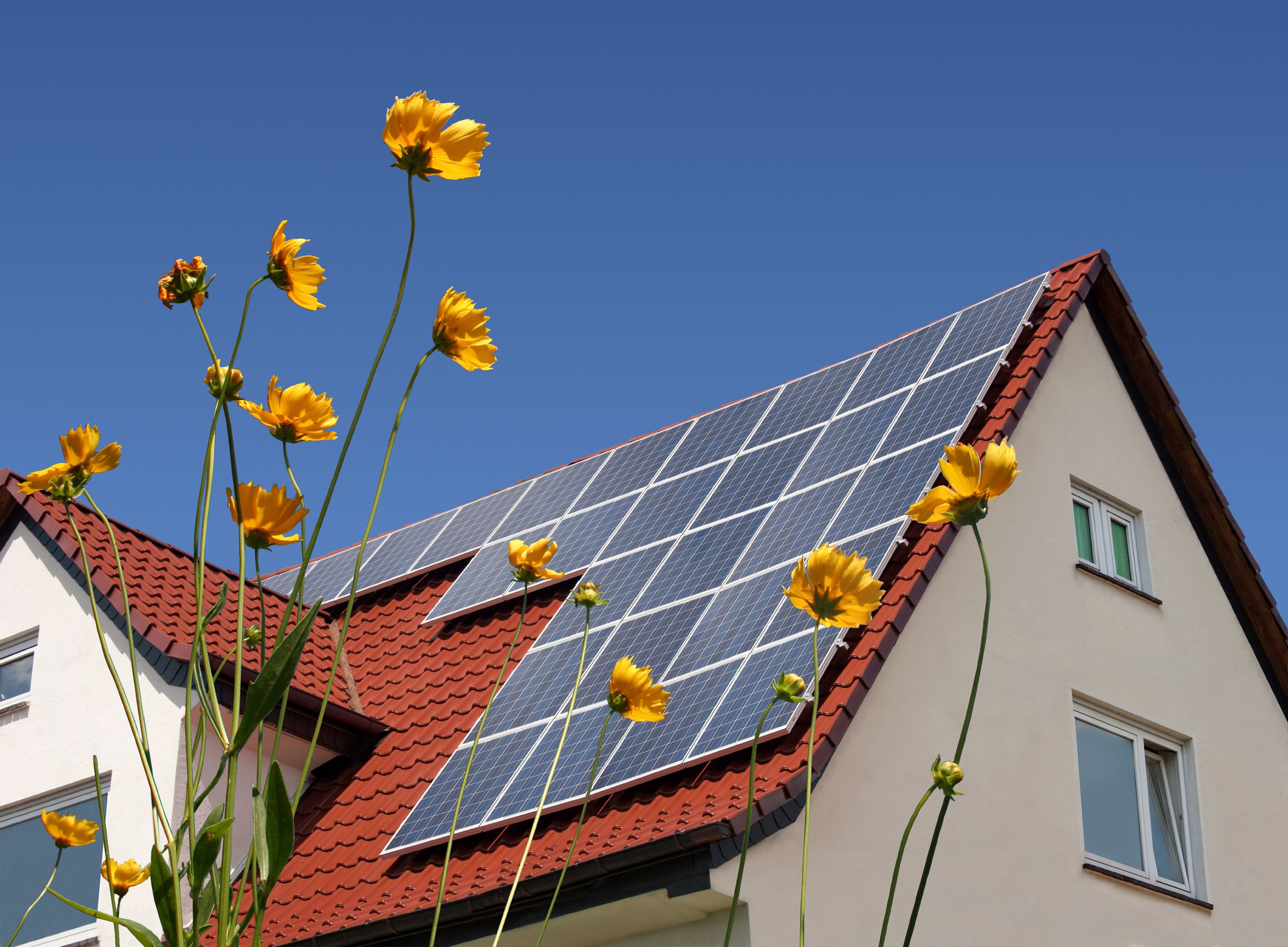 Hausdach mit Solarpanelen im Vordergrund sind Blumen
