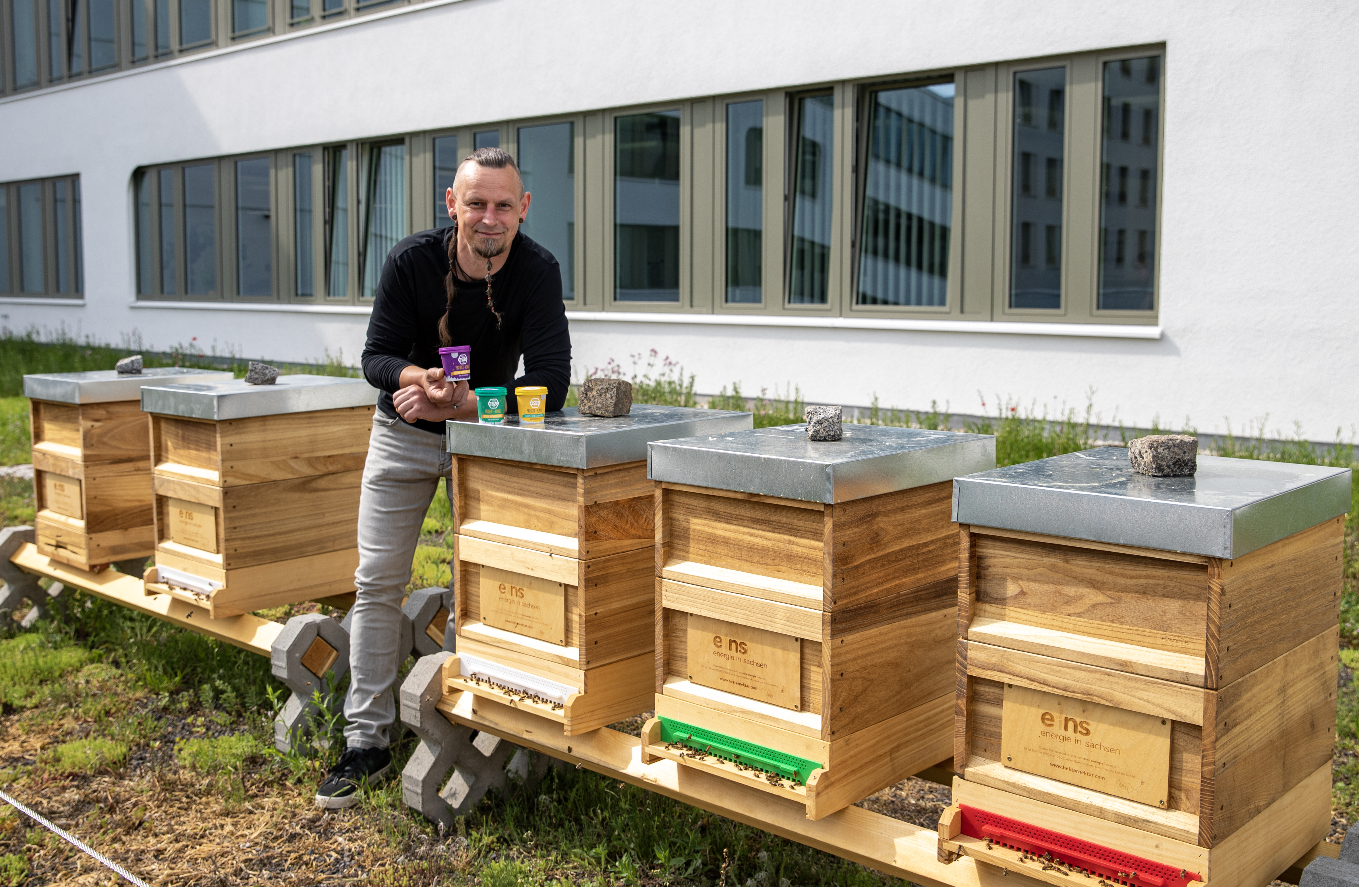 Imker mit 5 Bienenstöcken auf grüner Dachterrasse